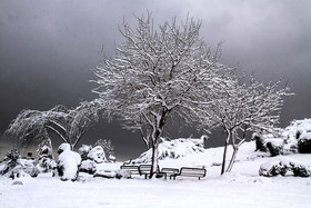 بارش برف در کرمان